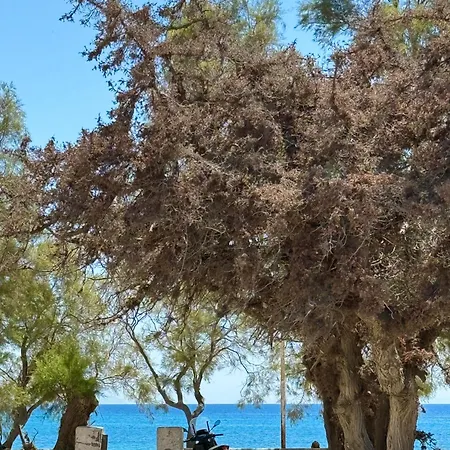 Holiday home House On The Agia Anna Naxos
