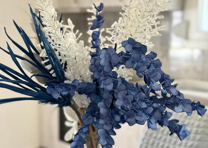 別荘 House On The Agia Anna Naxos Agia Anna (Naxos)